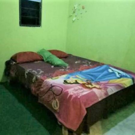 Fida Ijen Crater Guesthouse Licin المظهر الخارجي الصورة