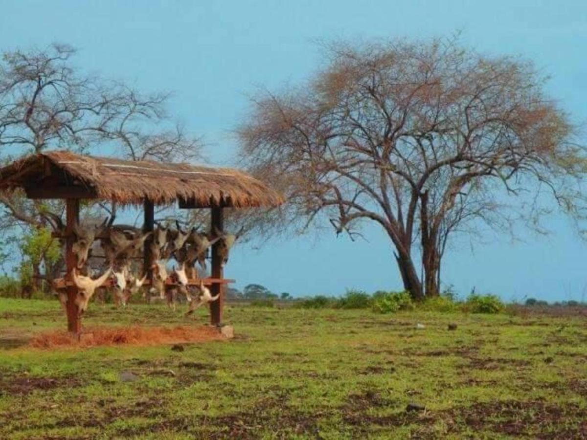 Fida Ijen Crater Guesthouse Licin المظهر الخارجي الصورة