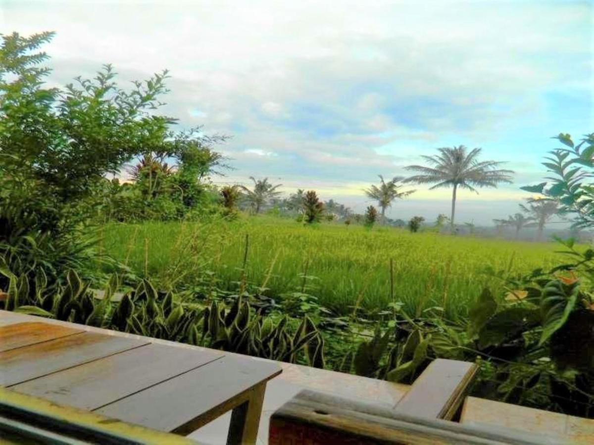 Fida Ijen Crater Guesthouse Licin المظهر الخارجي الصورة