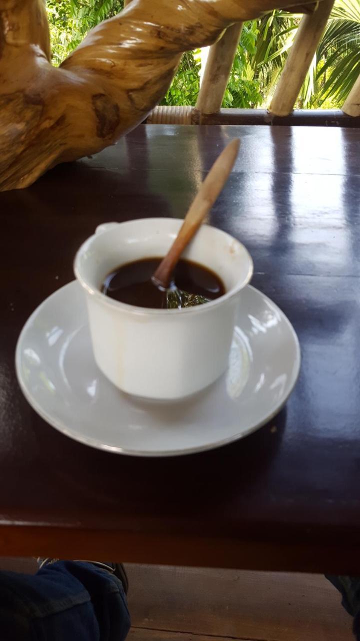 Fida Ijen Crater Guesthouse Licin المظهر الخارجي الصورة
